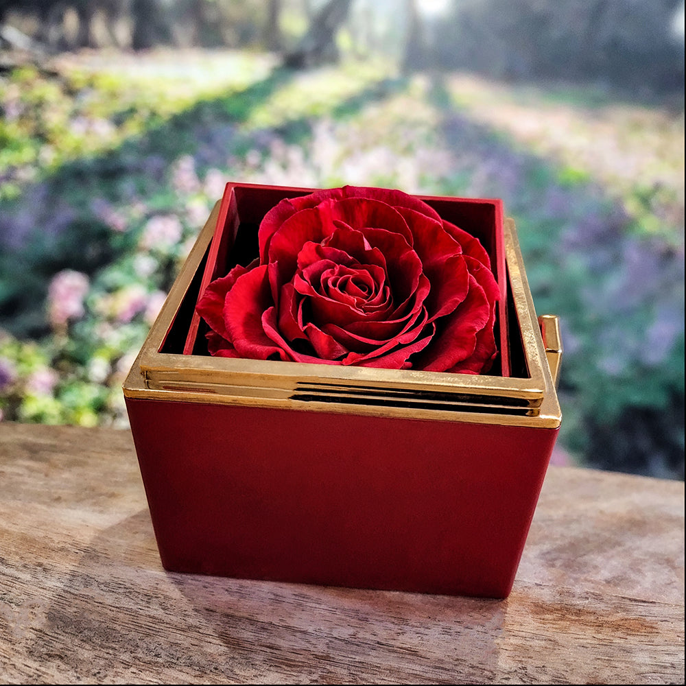 A Rose Will Stay - Rotating Rose Box