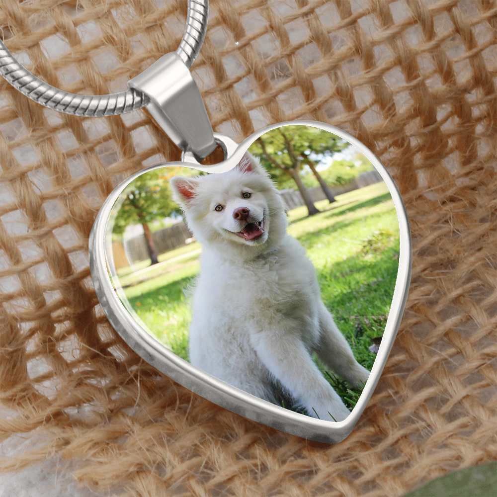 Quang Vo heart Necklace 2