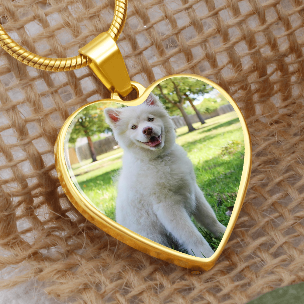 Quang Vo heart Necklace 2