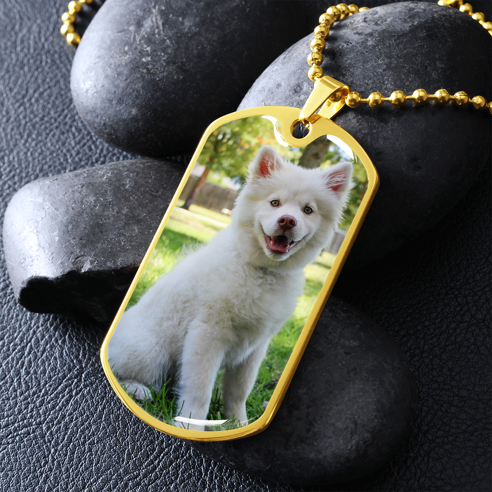 Quang Vo Dog Tag 2
